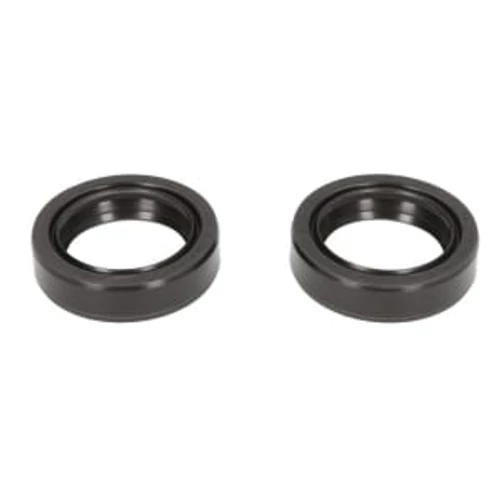 P40FORK455013_30x42x10,5