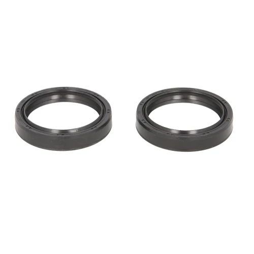 P40FORK455105_46x58.1x10.5/11.5