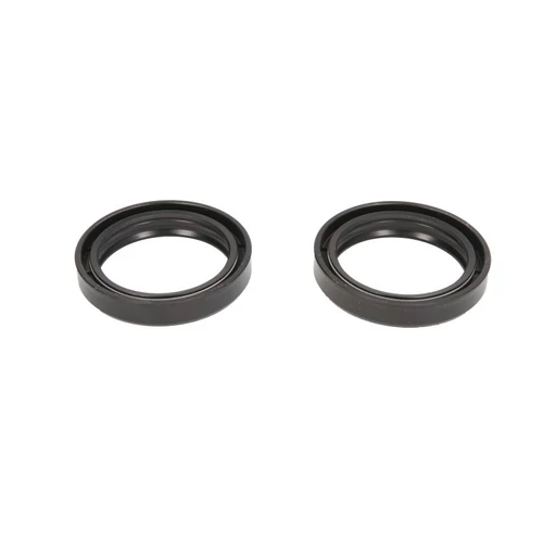 P40FORK455160_43x55x9,5/10,5