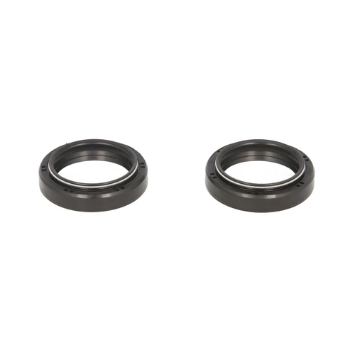 P40FORK455168_33x45x8/10,5